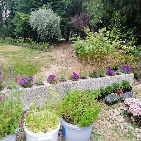Готель Robinhill Garden Форрес Екстер'єр фото