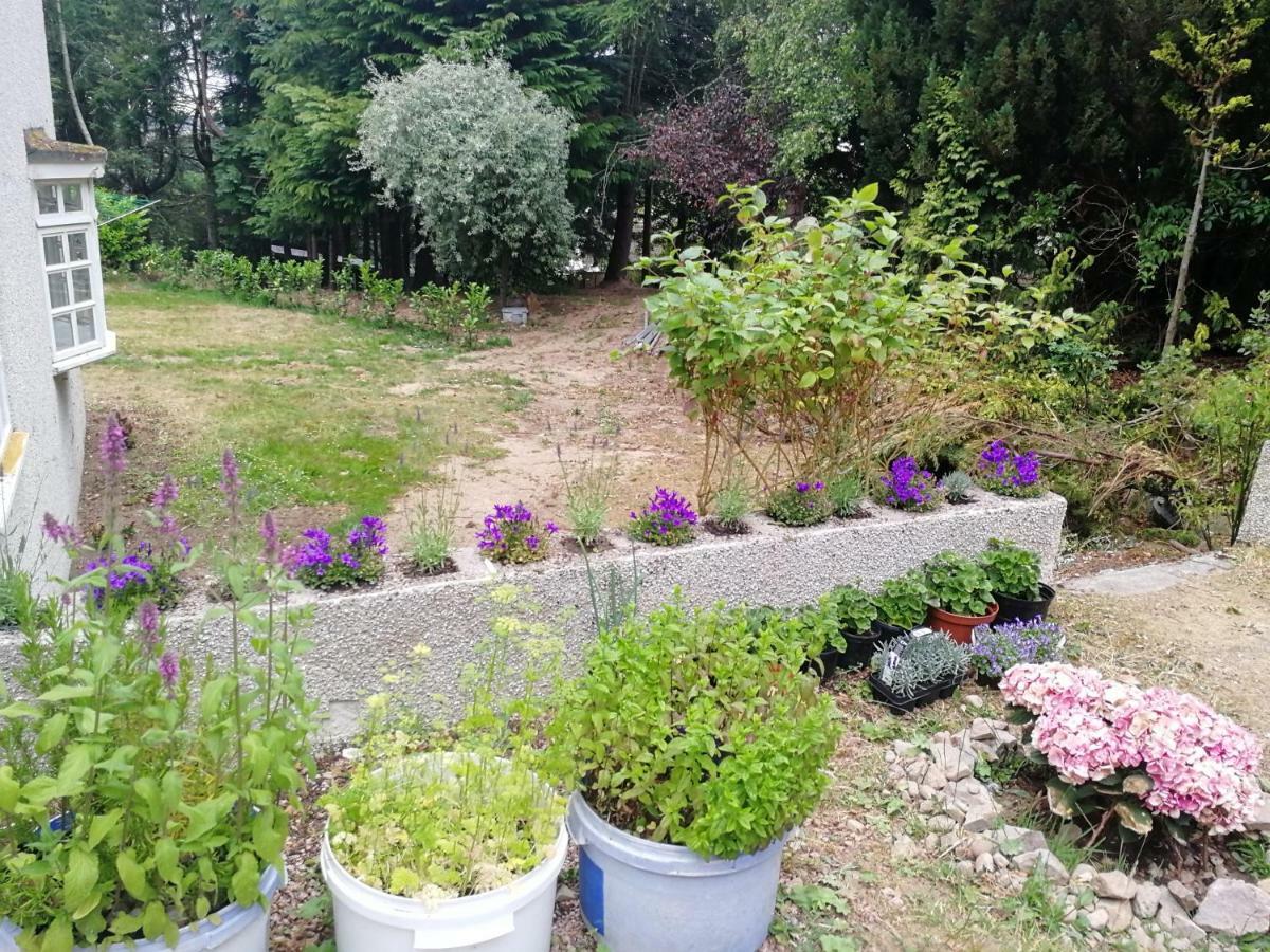 Готель Robinhill Garden Форрес Екстер'єр фото